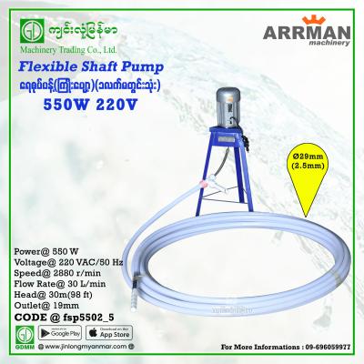 Flexible Shaft Pump ARRMAN 550W 220V 30m 19mm