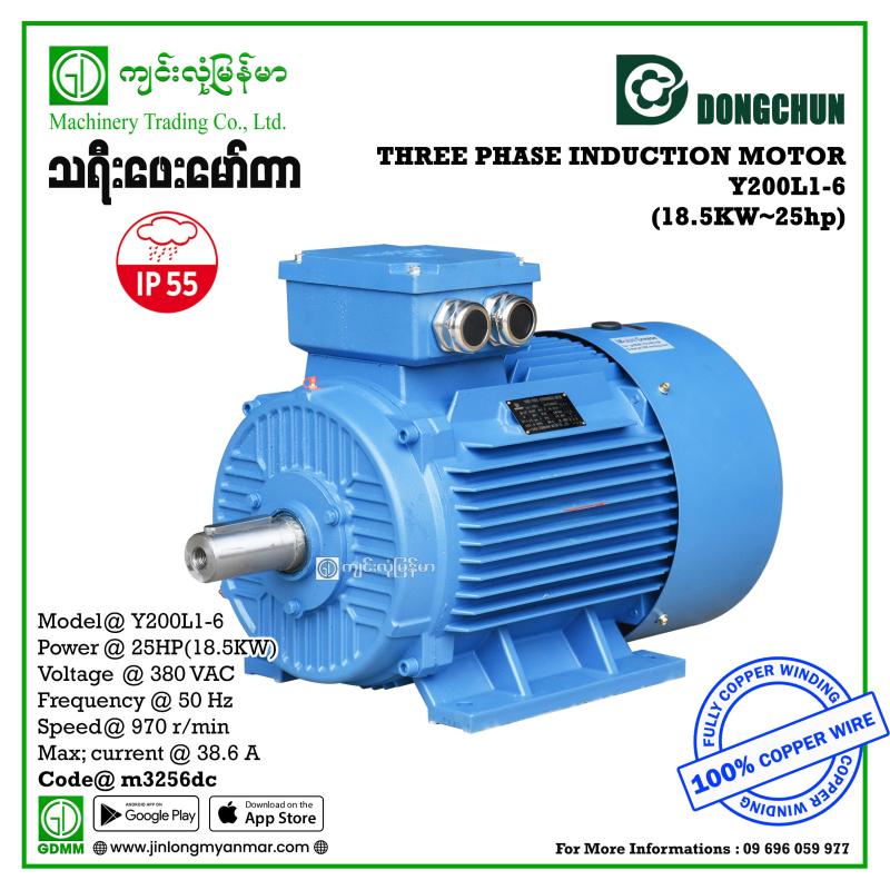 AC MOTOR DONGCHUN  Y-200L1-6 THREE PHASE