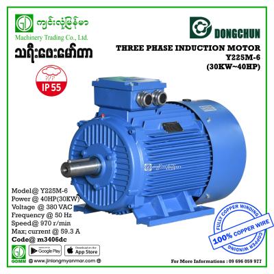 AC MOTOR DONGCHUN  Y-225M-6 THREE PHASE